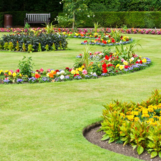A public garden filled with flowers