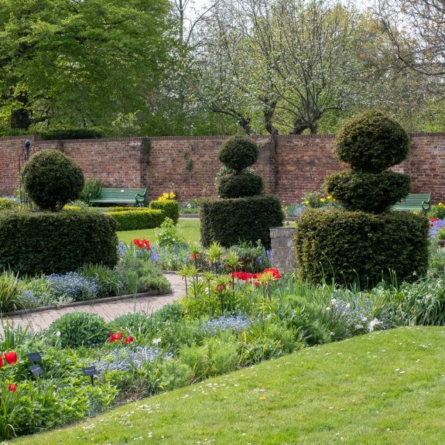 shaped hedges next to flower beds